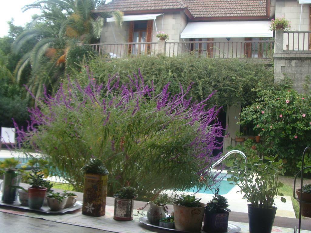 Casona La Ruchi Bed and Breakfast Tigre Exterior foto