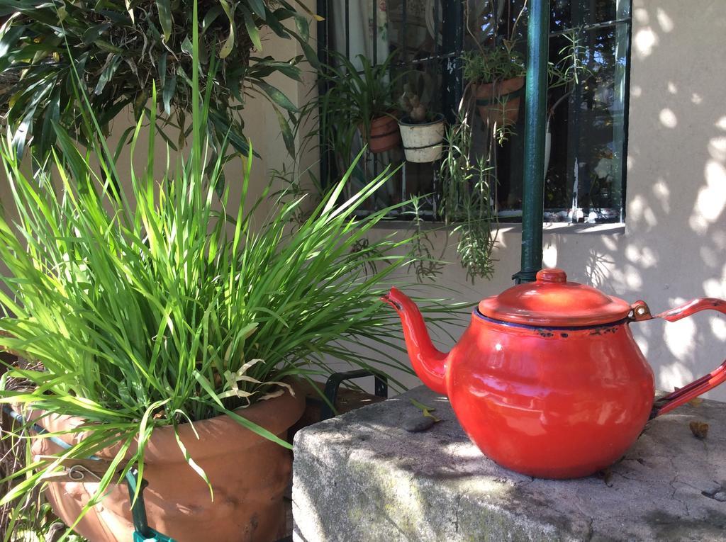 Casona La Ruchi Bed and Breakfast Tigre Exterior foto