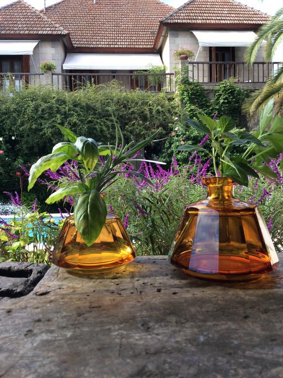 Casona La Ruchi Bed and Breakfast Tigre Exterior foto