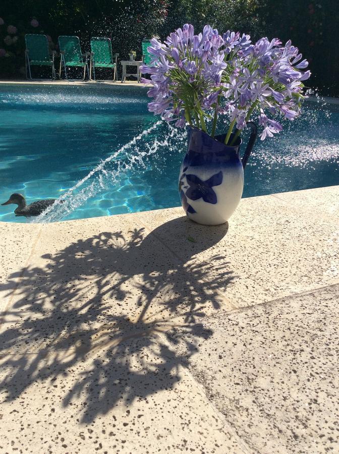 Casona La Ruchi Bed and Breakfast Tigre Exterior foto