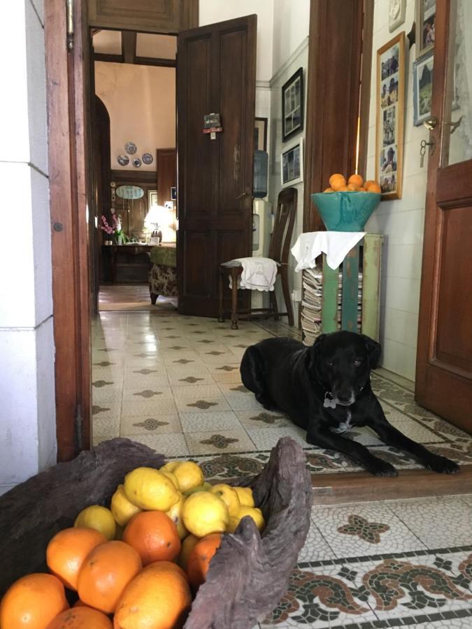 Casona La Ruchi Bed and Breakfast Tigre Exterior foto